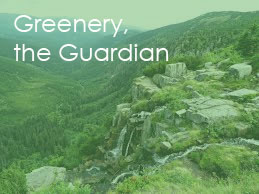 Greenery, the Guardian